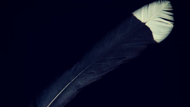 Most Expensive Thing In The World